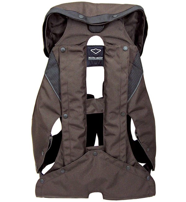 Brown Back