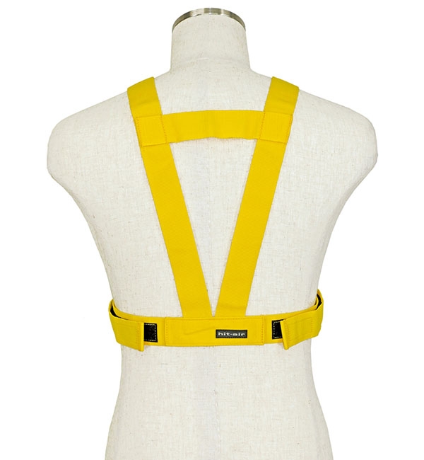 Yellow Back